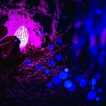 Pod Nizkymi Tatrami 度假居