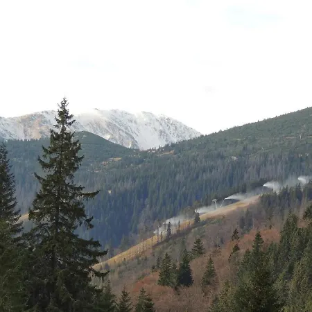 Pod Nizkymi Tatrami 度假居 Jasenie