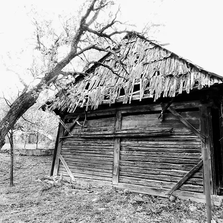 Σπίτι διακοπών Pod Nizkymi Tatrami Jasenie