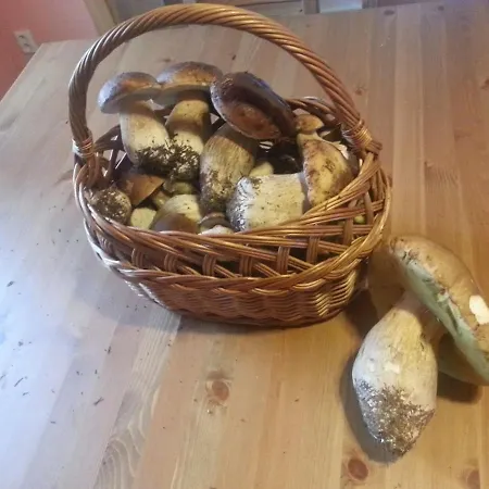 Pod Nizkymi Tatrami 度假居