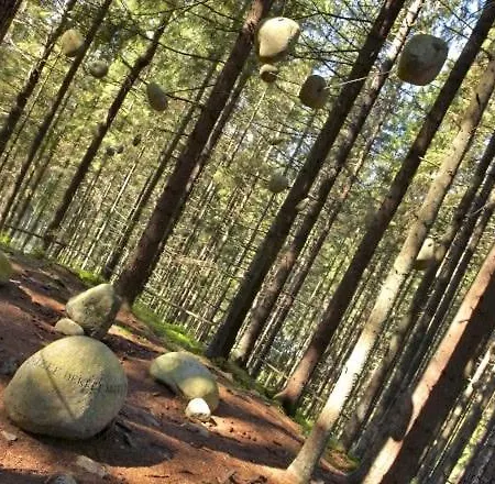 度假居 Pod Nizkymi Tatrami *