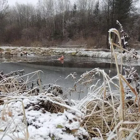 Pod Nizkymi Tatrami Σπίτι διακοπών Jasenie