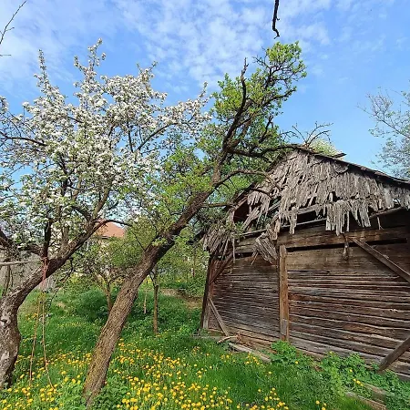 Σπίτι διακοπών Pod Nizkymi Tatrami