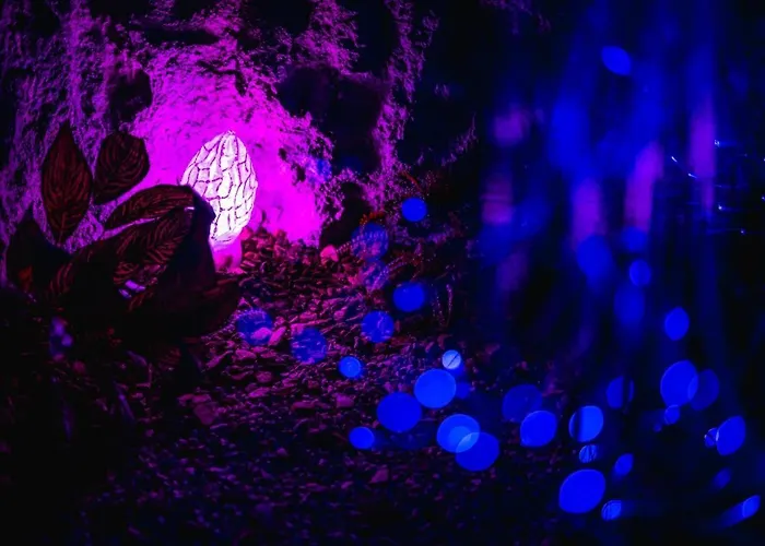 Pod Nizkymi Tatrami بيت للعطل