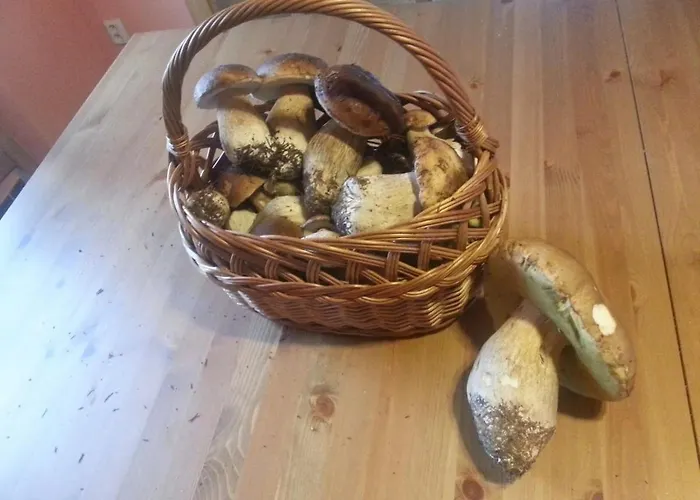 Pod Nizkymi Tatrami Dovolenkový dom