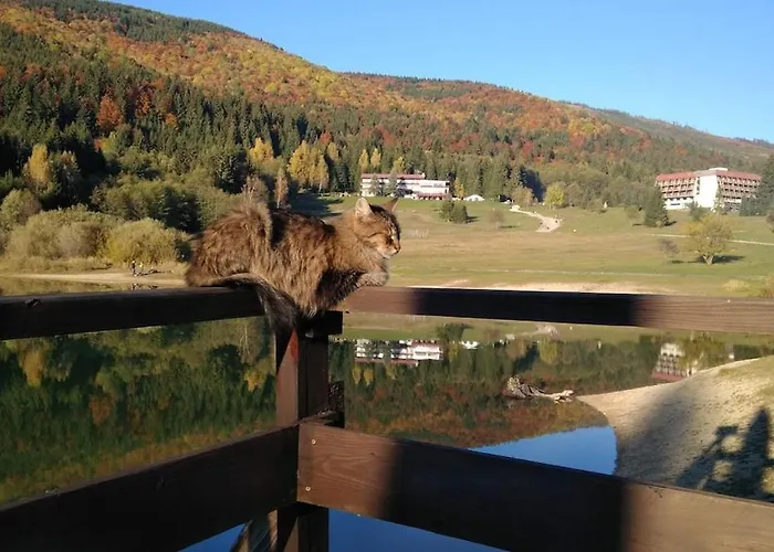 بيت للعطل Pod Nizkymi Tatrami Jasenie