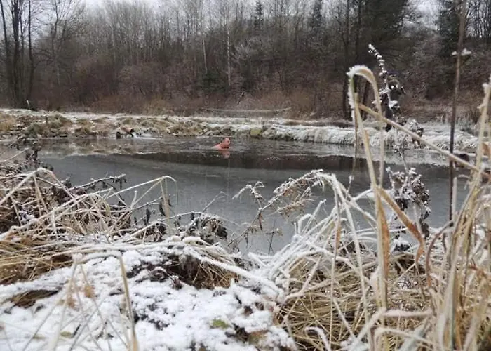 Pod Nizkymi Tatrami Dovolenkový dom Jasenie