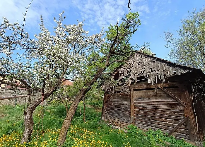 بيت للعطل Pod Nizkymi Tatrami